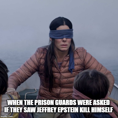 Saw Nothing | WHEN THE PRISON GUARDS WERE ASKED IF THEY SAW JEFFREY EPSTEIN KILL HIMSELF | image tagged in memes,bird box | made w/ Imgflip meme maker