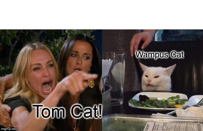 Woman Yelling At Cat Meme | Wampus Cat; Tom Cat! | image tagged in memes,woman yelling at cat | made w/ Imgflip meme maker