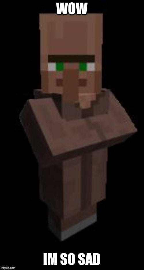 Minecraft Villager | WOW IM SO SAD | image tagged in minecraft villager | made w/ Imgflip meme maker