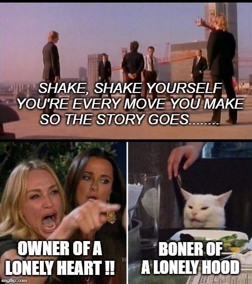 SHAKE, SHAKE YOURSELF
YOU'RE EVERY MOVE YOU MAKE
SO THE STORY GOES........ OWNER OF A LONELY HEART !! BONER OF A LONELY HOOD | image tagged in angry cat at table | made w/ Imgflip meme maker