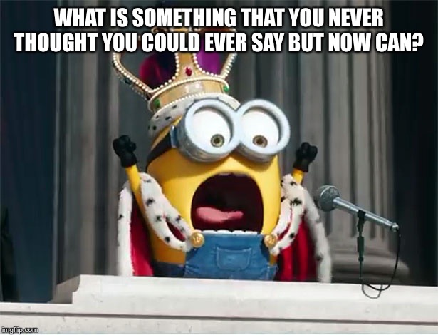Minions King Bob | WHAT IS SOMETHING THAT YOU NEVER THOUGHT YOU COULD EVER SAY BUT NOW CAN? | image tagged in minions king bob | made w/ Imgflip meme maker