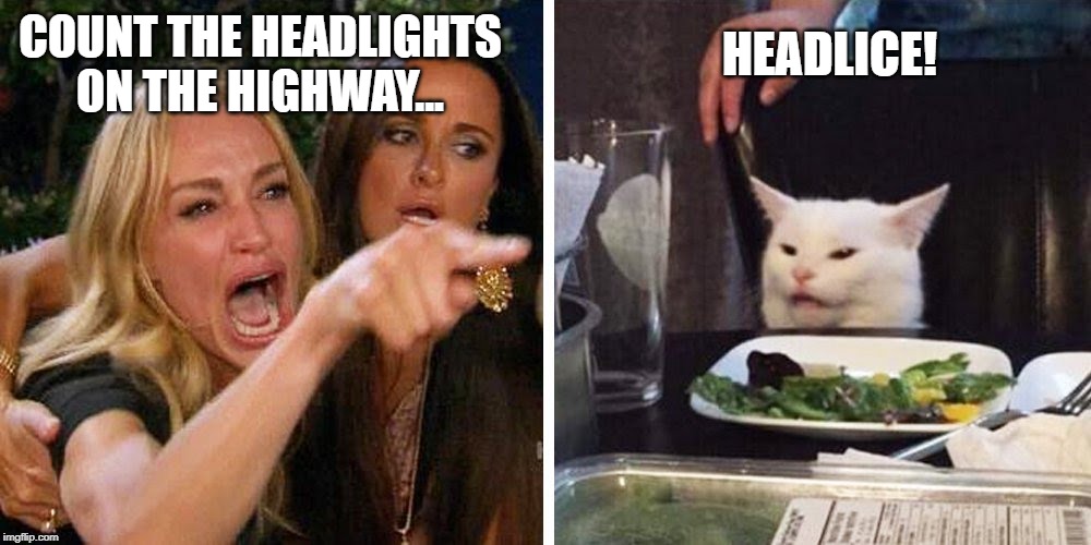 Smudge the cat | HEADLICE! COUNT THE HEADLIGHTS ON THE HIGHWAY... | image tagged in smudge the cat | made w/ Imgflip meme maker