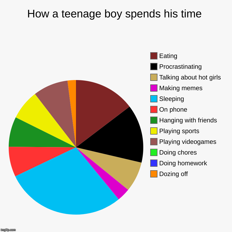 How a teenage boy spends his time | Dozing off, Doing homework, Doing chores, Playing videogames, Playing sports, Hanging with friends, On p | image tagged in charts,pie charts | made w/ Imgflip chart maker