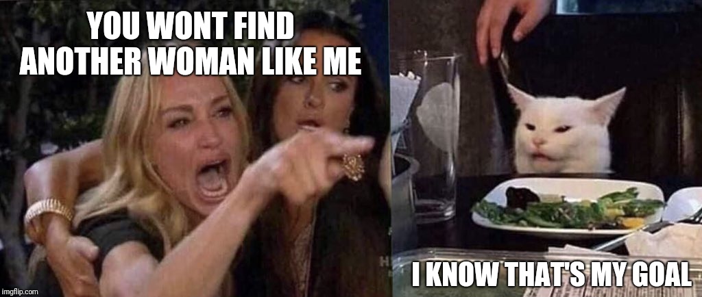 woman yelling at cat | YOU WONT FIND ANOTHER WOMAN LIKE ME; I KNOW THAT'S MY GOAL | image tagged in woman yelling at cat | made w/ Imgflip meme maker