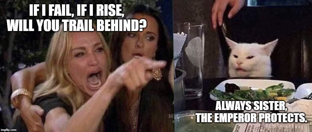 woman yelling at cat | IF I FAIL, IF I RISE, WILL YOU TRAIL BEHIND? ALWAYS SISTER, THE EMPEROR PROTECTS. | image tagged in woman yelling at cat | made w/ Imgflip meme maker