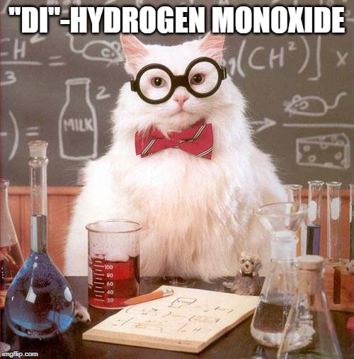 Science Cat | "DI"-HYDROGEN MONOXIDE | image tagged in science cat | made w/ Imgflip meme maker