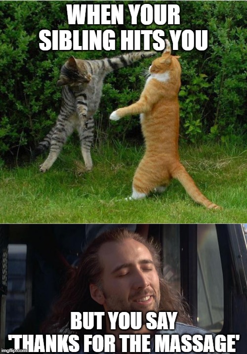 WHEN YOUR SIBLING HITS YOU; BUT YOU SAY 'THANKS FOR THE MASSAGE' | image tagged in nic cage feels good,cat fight | made w/ Imgflip meme maker