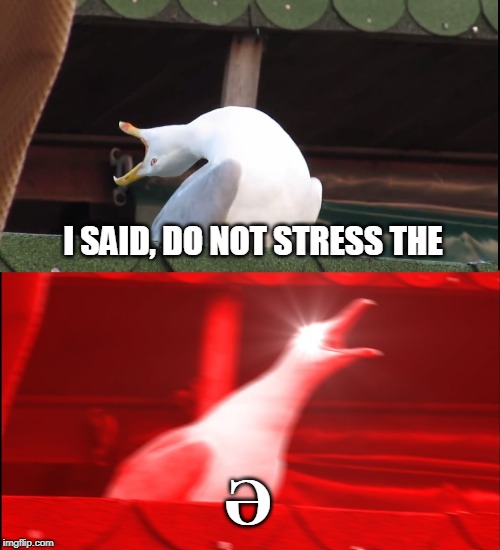Screaming bird | I SAID, DO NOT STRESS THE; Ə | image tagged in screaming bird | made w/ Imgflip meme maker