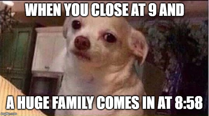 Seriously Dog | WHEN YOU CLOSE AT 9 AND; A HUGE FAMILY COMES IN AT 8:58 | image tagged in seriously dog | made w/ Imgflip meme maker