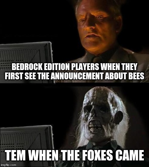 I'll Just Wait Here | BEDROCK EDITION PLAYERS WHEN THEY FIRST SEE THE ANNOUNCEMENT ABOUT BEES; TEM WHEN THE FOXES CAME | image tagged in memes,ill just wait here | made w/ Imgflip meme maker