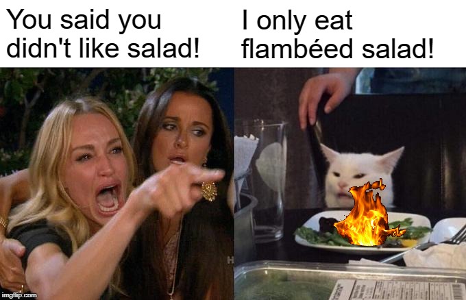 Woman Yelling At Cat Meme | You said you didn't like salad! I only eat flambéed salad! | image tagged in memes,woman yelling at cat | made w/ Imgflip meme maker