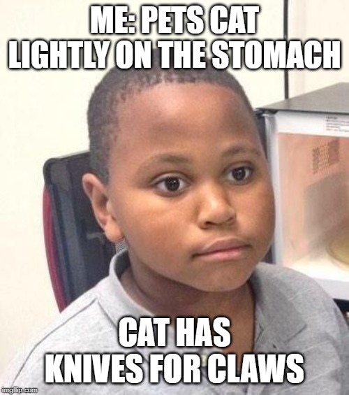 Minor Mistake Marvin Meme | ME: PETS CAT LIGHTLY ON THE STOMACH; CAT HAS KNIVES FOR CLAWS | image tagged in memes,minor mistake marvin | made w/ Imgflip meme maker