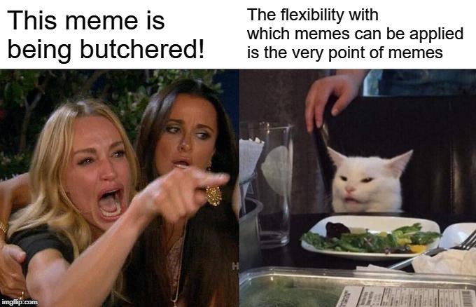 Woman Yelling At Cat Meme | This meme is being butchered! The flexibility with which memes can be applied is the very point of memes | image tagged in memes,woman yelling at cat | made w/ Imgflip meme maker