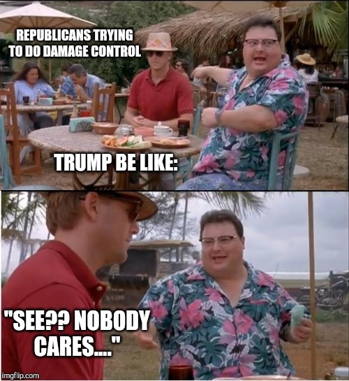 See Nobody Cares | REPUBLICANS TRYING TO DO DAMAGE CONTROL; TRUMP BE LIKE:; "SEE?? NOBODY CARES...." | image tagged in memes,see nobody cares | made w/ Imgflip meme maker