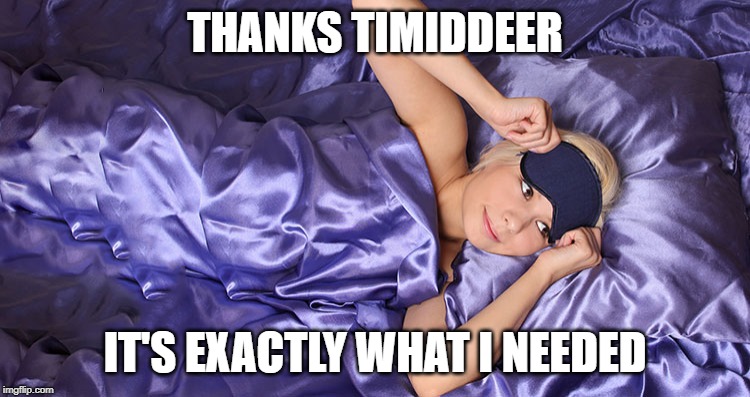 THANKS TIMIDDEER IT'S EXACTLY WHAT I NEEDED | made w/ Imgflip meme maker