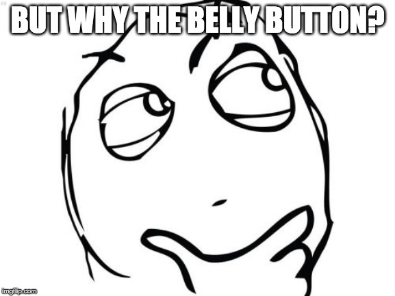 Question Rage Face Meme | BUT WHY THE BELLY BUTTON? | image tagged in memes,question rage face | made w/ Imgflip meme maker