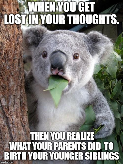 Surprised Koala Meme | WHEN YOU GET LOST IN YOUR THOUGHTS. THEN YOU REALIZE WHAT YOUR PARENTS DID  TO BIRTH YOUR YOUNGER SIBLINGS | image tagged in memes,surprised koala | made w/ Imgflip meme maker