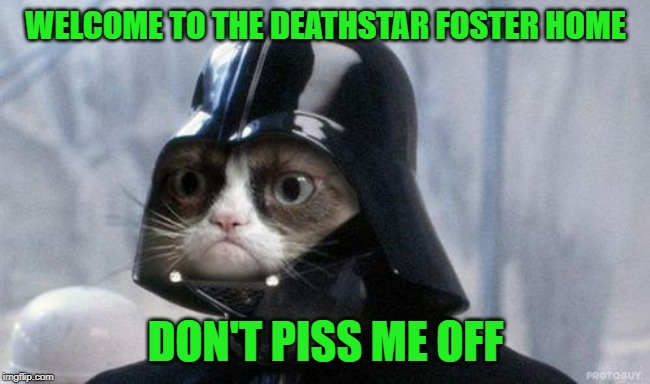 Grumpy Cat Star Wars Meme | WELCOME TO THE DEATHSTAR FOSTER HOME DON'T PISS ME OFF | image tagged in memes,grumpy cat star wars,grumpy cat | made w/ Imgflip meme maker