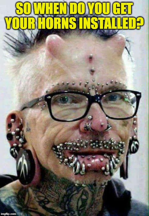 Pierced up freak | SO WHEN DO YOU GET YOUR HORNS INSTALLED? | image tagged in pierced up freak | made w/ Imgflip meme maker