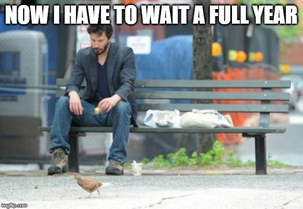 Sad Keanu Meme | NOW I HAVE TO WAIT A FULL YEAR | image tagged in memes,sad keanu | made w/ Imgflip meme maker