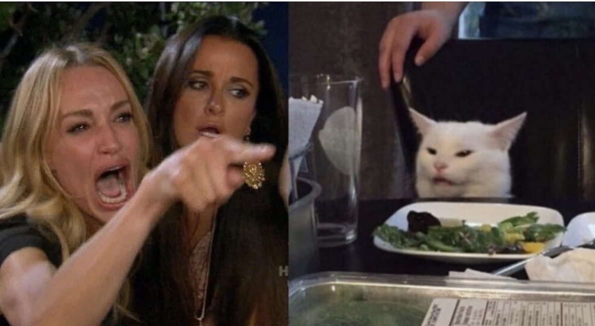 High Quality Table Cat Blank Meme Template