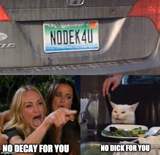 NO DICK FOR YOU; NO DECAY FOR YOU | image tagged in woman yelling at cat | made w/ Imgflip meme maker