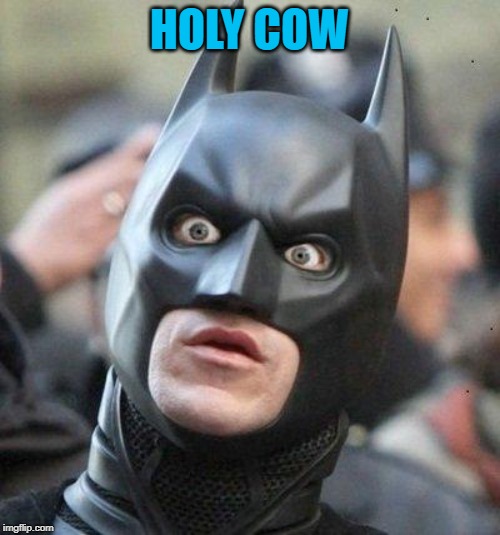 Shocked Batman | HOLY COW | image tagged in shocked batman | made w/ Imgflip meme maker