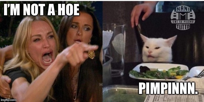 white cat table | I’M NOT A HOE; PIMPINNN. | image tagged in white cat table | made w/ Imgflip meme maker