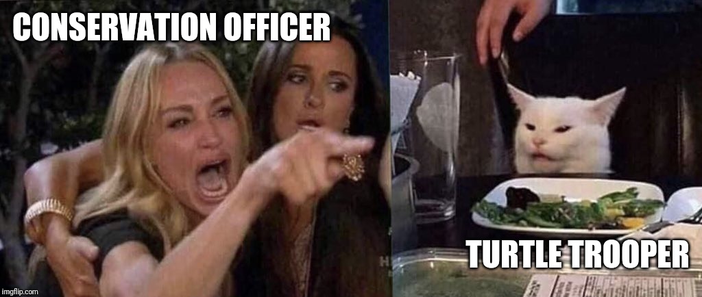 woman yelling at cat | CONSERVATION OFFICER; TURTLE TROOPER | image tagged in woman yelling at cat | made w/ Imgflip meme maker