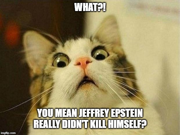 Scared Cat Meme | WHAT?! YOU MEAN JEFFREY EPSTEIN REALLY DIDN'T KILL HIMSELF? | image tagged in memes,scared cat | made w/ Imgflip meme maker