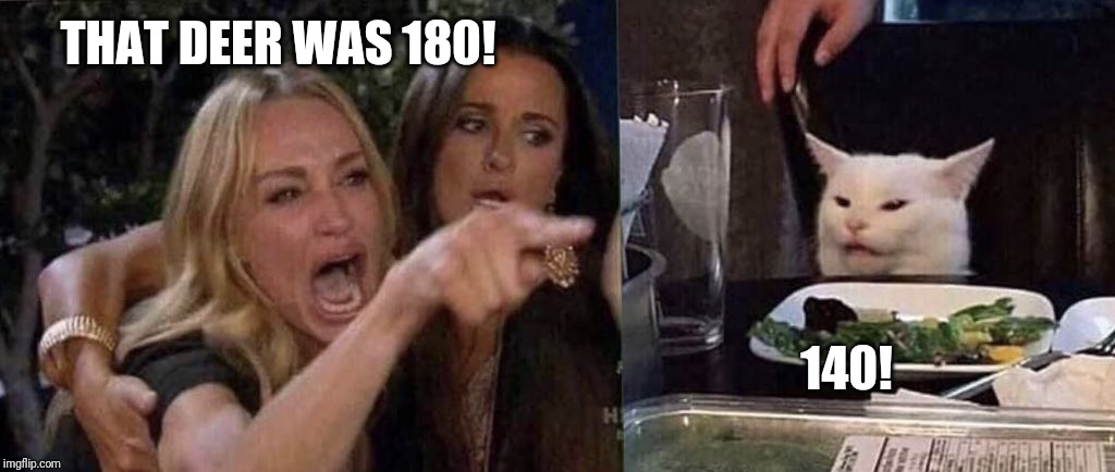 woman yelling at cat | THAT DEER WAS 180! 140! | image tagged in woman yelling at cat | made w/ Imgflip meme maker