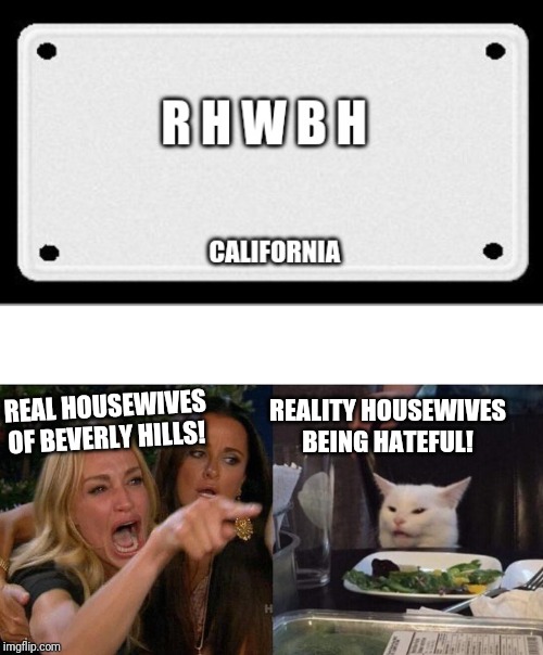REALITY HOUSEWIVES BEING HATEFUL! REAL HOUSEWIVES OF BEVERLY HILLS! | image tagged in memes,woman yelling at cat | made w/ Imgflip meme maker
