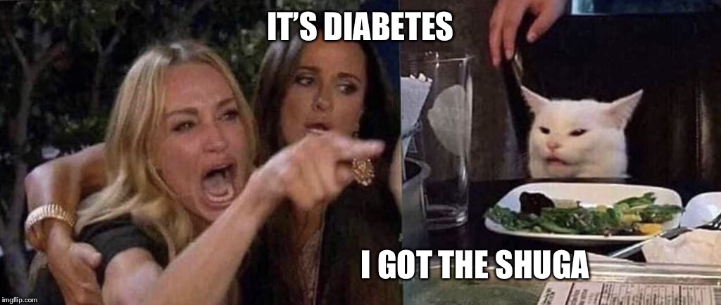 woman yelling at cat | IT’S DIABETES; I GOT THE SHUGA | image tagged in woman yelling at cat | made w/ Imgflip meme maker