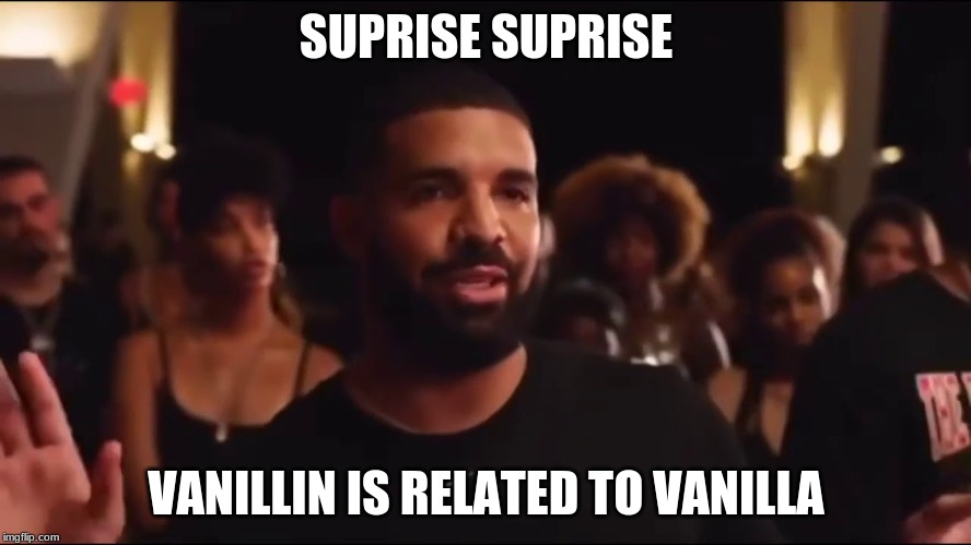 Ooo Wow Vanilla is Vanillin | SUPRISE SUPRISE; VANILLIN IS RELATED TO VANILLA | image tagged in drake,chemistry,ooowow,vanilla,vanillin | made w/ Imgflip meme maker