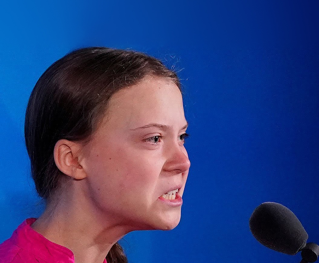 High Quality Angry Greta Thunberg: How dare you? Blank Meme Template
