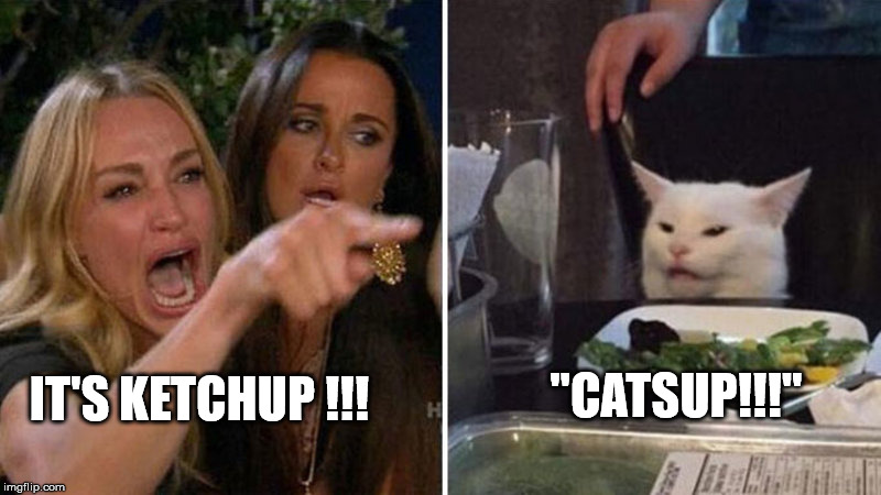 Potato pototoe | "CATSUP!!!"; IT'S KETCHUP !!! | image tagged in women yelling at cat | made w/ Imgflip meme maker