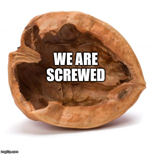 Nutshell | WE ARE SCREWED | image tagged in nutshell | made w/ Imgflip meme maker
