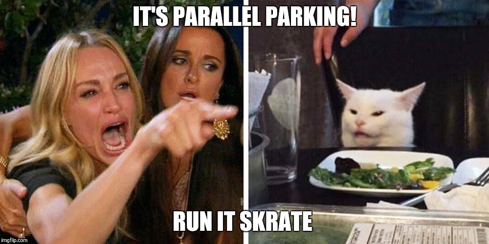 Smudge the cat | IT'S PARALLEL PARKING! RUN IT SKRATE | image tagged in smudge the cat | made w/ Imgflip meme maker