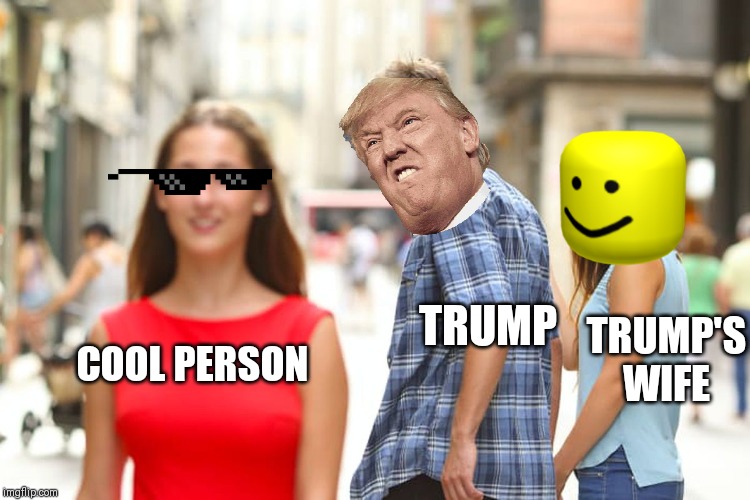 Distracted Boyfriend Meme | TRUMP; TRUMP'S WIFE; COOL PERSON | image tagged in memes,distracted boyfriend | made w/ Imgflip meme maker