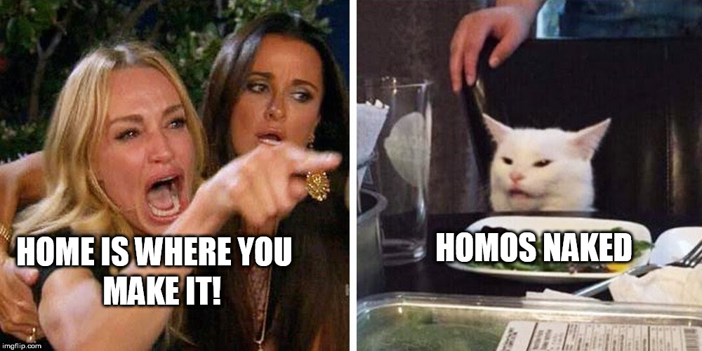 Smudge the cat | HOMOS NAKED; MAKE IT! HOME IS WHERE YOU | image tagged in smudge the cat | made w/ Imgflip meme maker