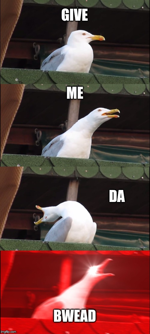 Inhaling Seagull | GIVE; ME; DA; BWEAD | image tagged in memes,inhaling seagull | made w/ Imgflip meme maker