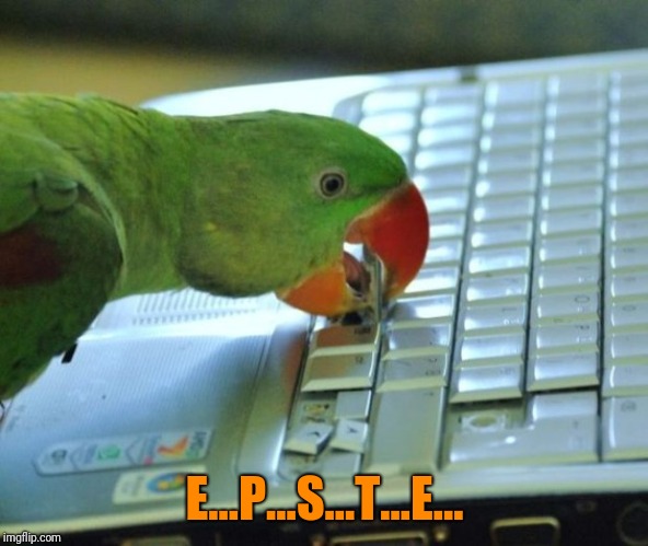 Parrot pc | E...P...S...T...E... | image tagged in parrot pc | made w/ Imgflip meme maker