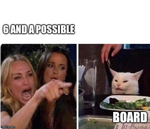 Lady screams at cat | 6 AND A POSSIBLE; BOARD | image tagged in lady screams at cat | made w/ Imgflip meme maker