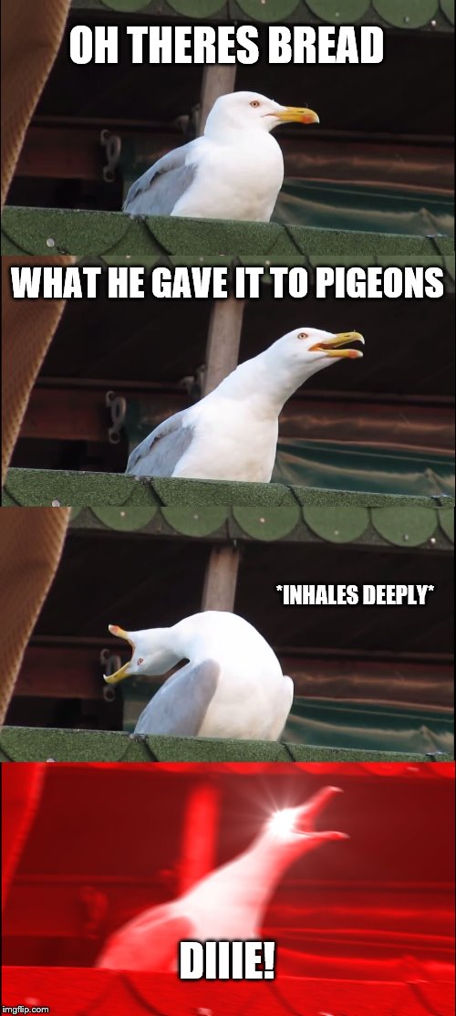 Inhaling Seagull | OH THERES BREAD; WHAT HE GAVE IT TO PIGEONS; *INHALES DEEPLY*; DIIIE! | image tagged in memes,inhaling seagull | made w/ Imgflip meme maker