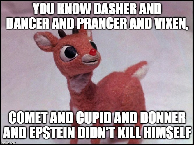 Reindeer | YOU KNOW DASHER AND DANCER AND PRANCER AND VIXEN, COMET AND CUPID AND DONNER AND EPSTEIN DIDN'T KILL HIMSELF | image tagged in reindeer | made w/ Imgflip meme maker