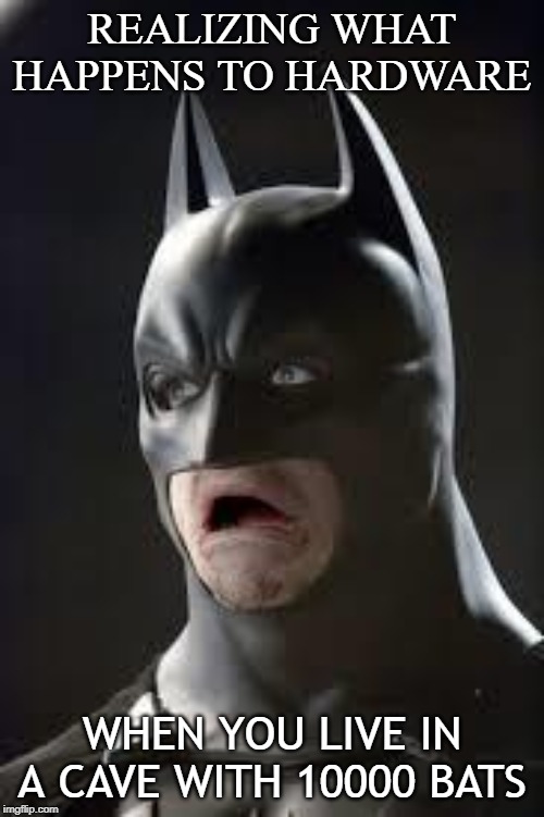 Disgusted Batman | REALIZING WHAT HAPPENS TO HARDWARE; WHEN YOU LIVE IN A CAVE WITH 10000 BATS | image tagged in disgusted batman | made w/ Imgflip meme maker