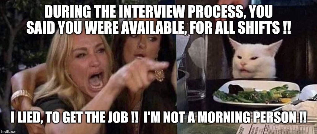 woman yelling at cat | DURING THE INTERVIEW PROCESS, YOU SAID YOU WERE AVAILABLE, FOR ALL SHIFTS !! I LIED, TO GET THE JOB !!  I'M NOT A MORNING PERSON !! | image tagged in woman yelling at cat | made w/ Imgflip meme maker