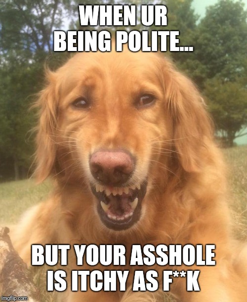 Fake smile dog | WHEN UR BEING POLITE... BUT YOUR ASSHOLE IS ITCHY AS F**K | image tagged in fake smile dog | made w/ Imgflip meme maker