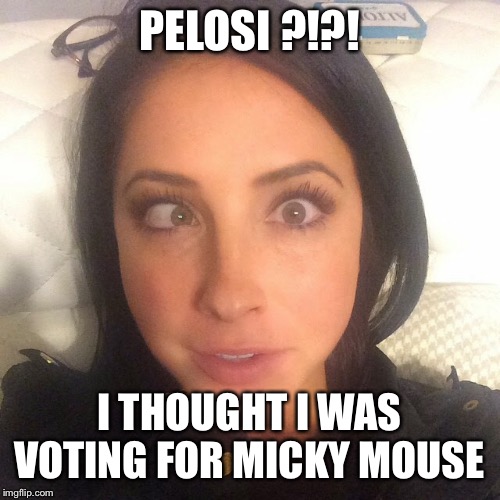 PELOSI ?!?! I THOUGHT I WAS VOTING FOR MICKY MOUSE | made w/ Imgflip meme maker
