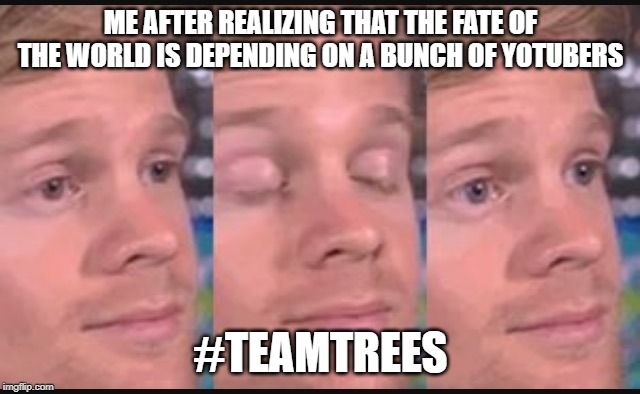 Blinking guy | ME AFTER REALIZING THAT THE FATE OF THE WORLD IS DEPENDING ON A BUNCH OF YOTUBERS; #TEAMTREES | image tagged in blinking guy | made w/ Imgflip meme maker